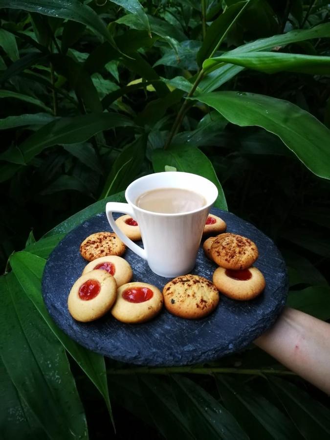 La Ceiba Tree Lodge Tilarán Zewnętrze zdjęcie