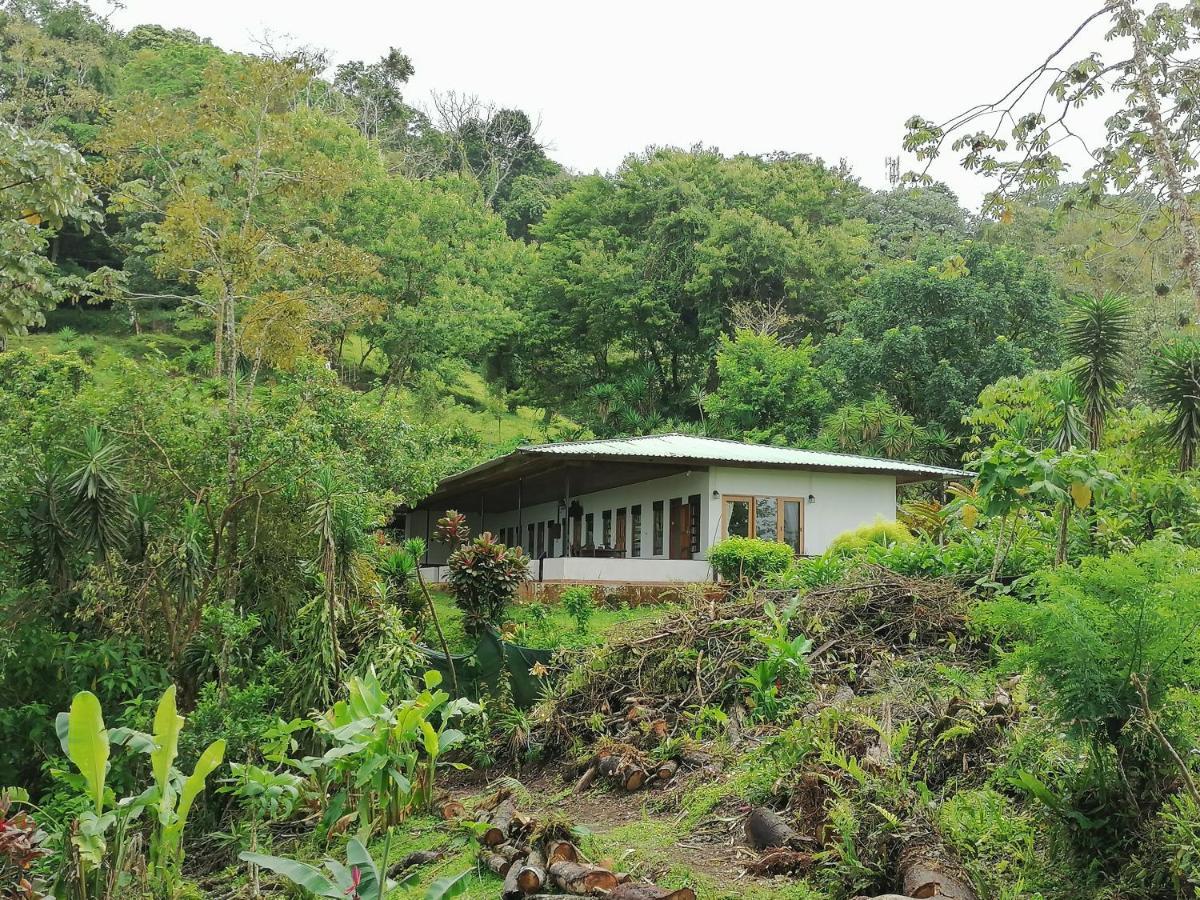 La Ceiba Tree Lodge Tilarán Zewnętrze zdjęcie
