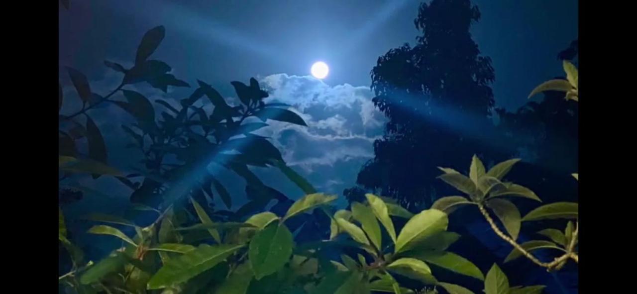 La Ceiba Tree Lodge Tilarán Zewnętrze zdjęcie