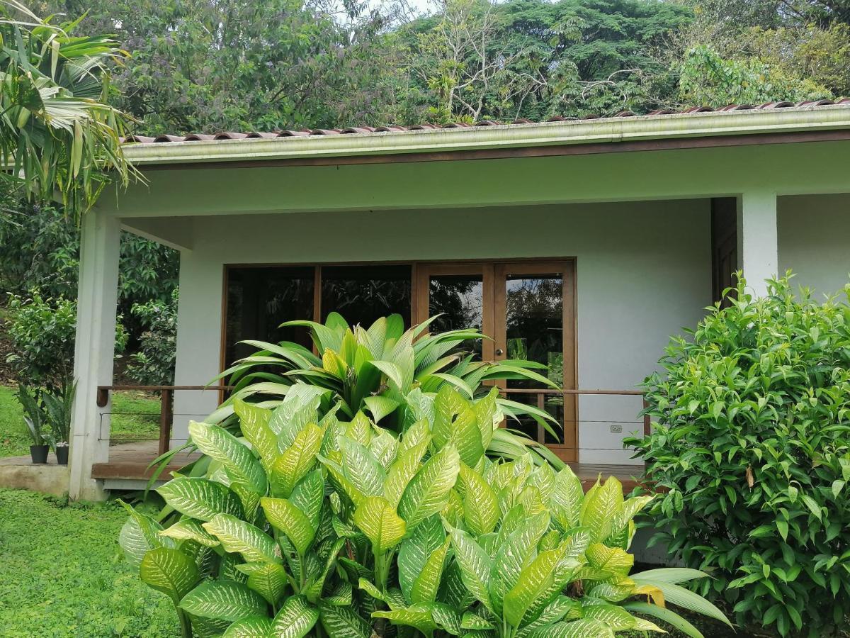 La Ceiba Tree Lodge Tilarán Zewnętrze zdjęcie